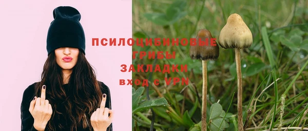 Альфа ПВП Михайловск