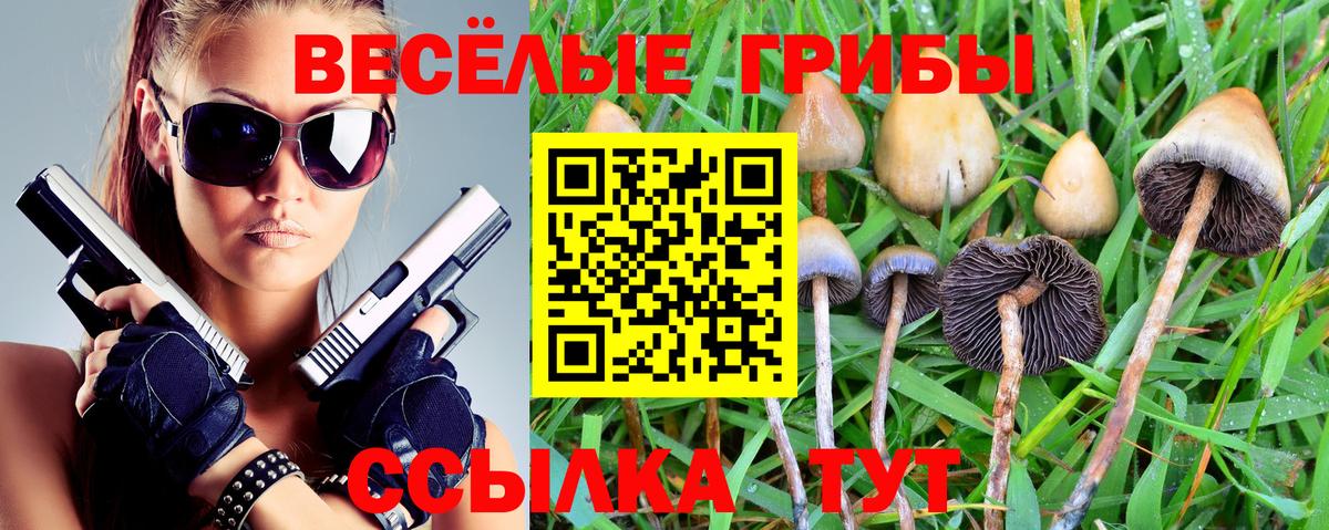 Печора  Галлюциногенные грибы ЛСД  Вход с VPN 